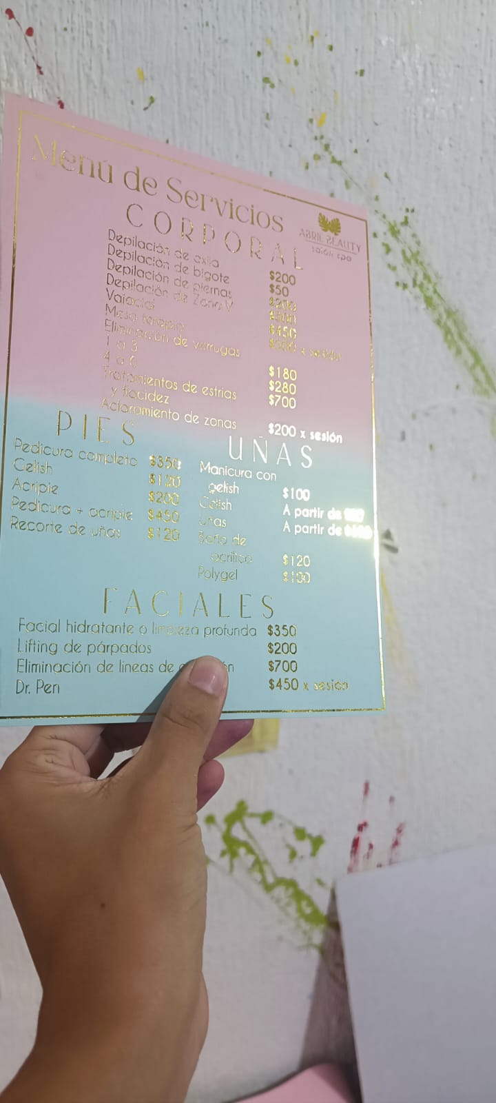 Menú de servicio 📝